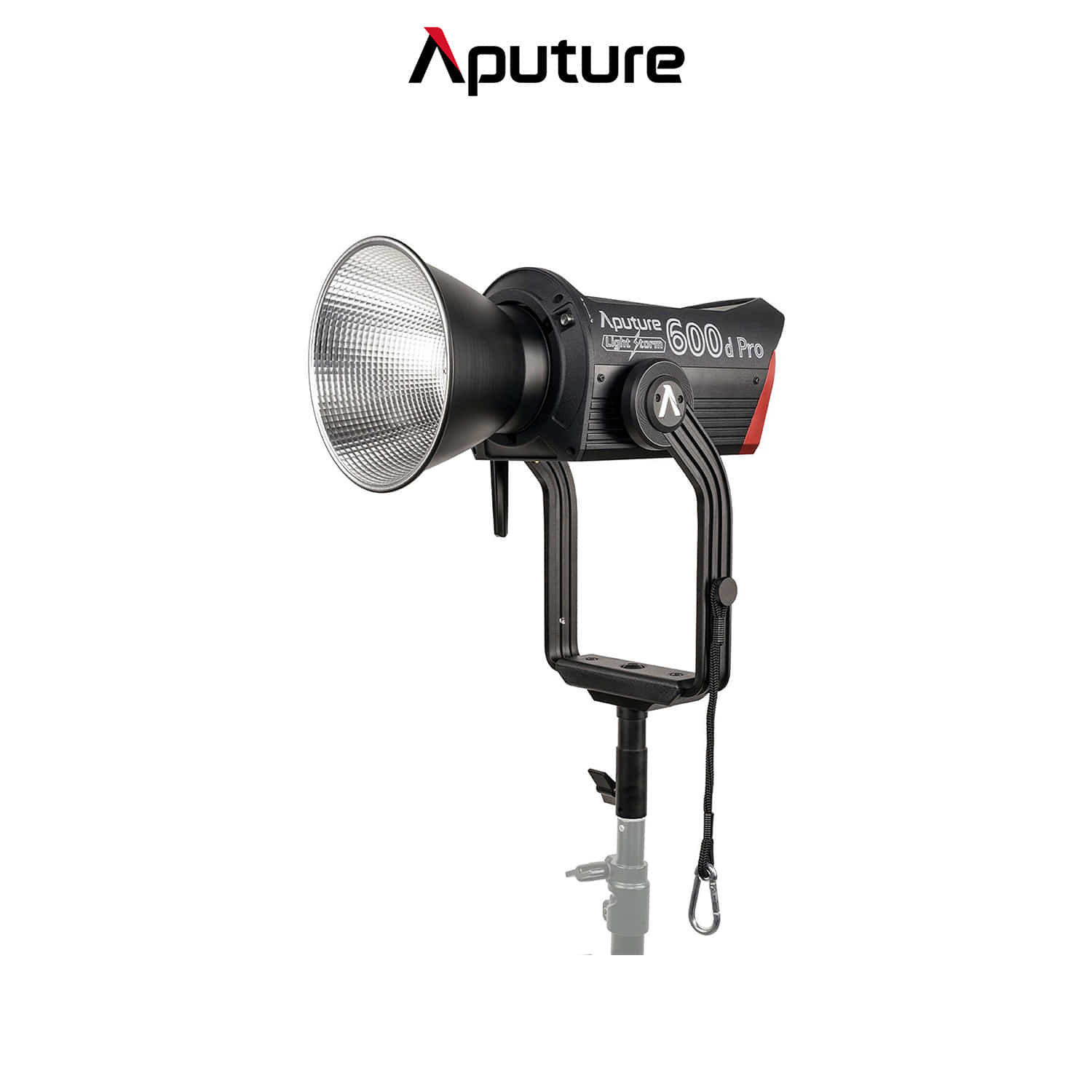 APUTURE 600D Pro